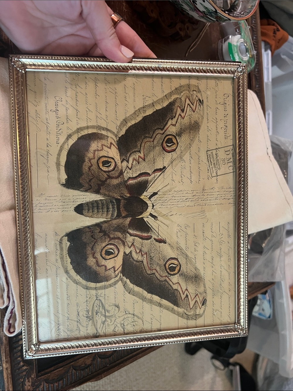 Vintage-Style Brown Moth Wall Art in Gold Frame